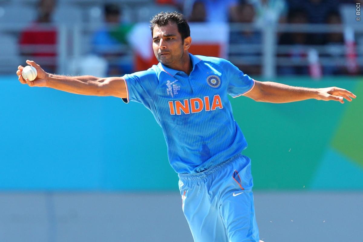Mohammed Shami to be World Cup player of the tournament?