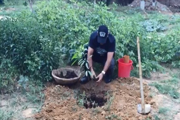World Environment Day: Watch MS Dhoni planting a tree and doing his part [VIDEO]